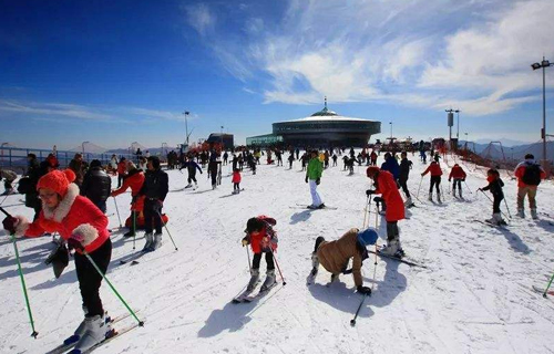 室外滑雪场中有哪些安全隐患？需要怎么预防?